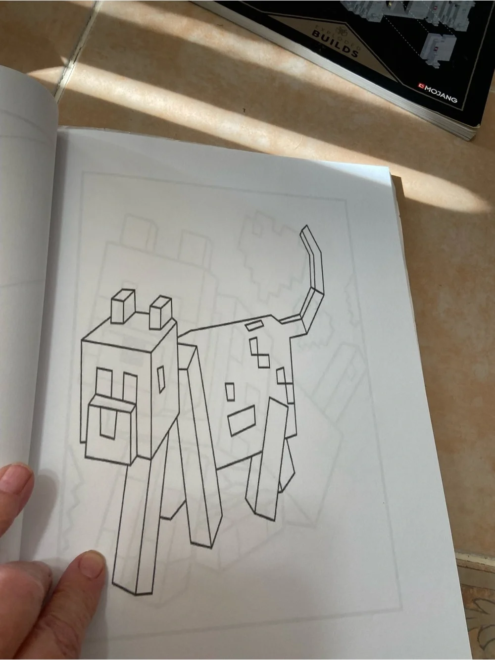 Minecraft - 3 books